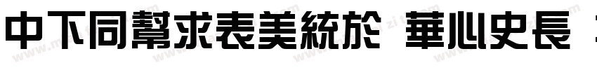 DFHuiZong SC24 W5字体转换